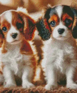 Cavalier King Charles Spaniel Dogs Diamond Painting