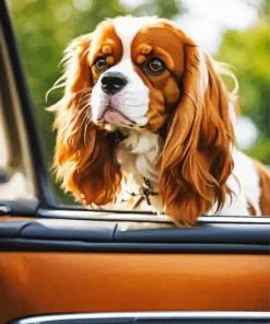 Cavalier King Charles Spaniel In A Car Diamond Painting