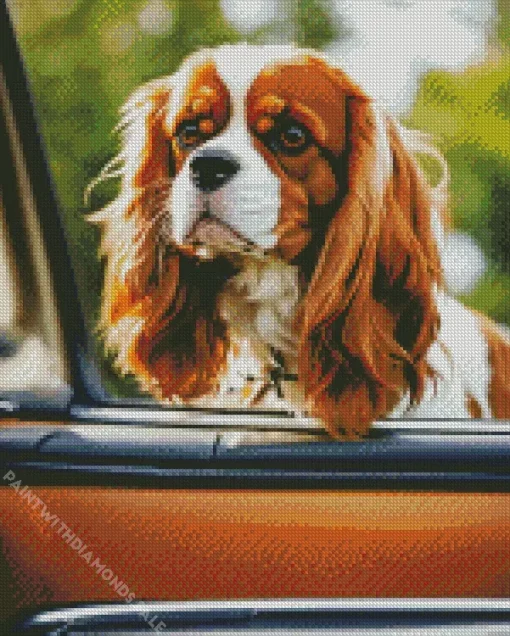 Cavalier King Charles Spaniel In A Car Diamond Painting