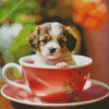 Cavalier King Charles Spaniel In A Cup Diamond Painting