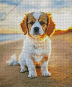 Cavalier King Charles Spaniel In The Beach Diamond Painting