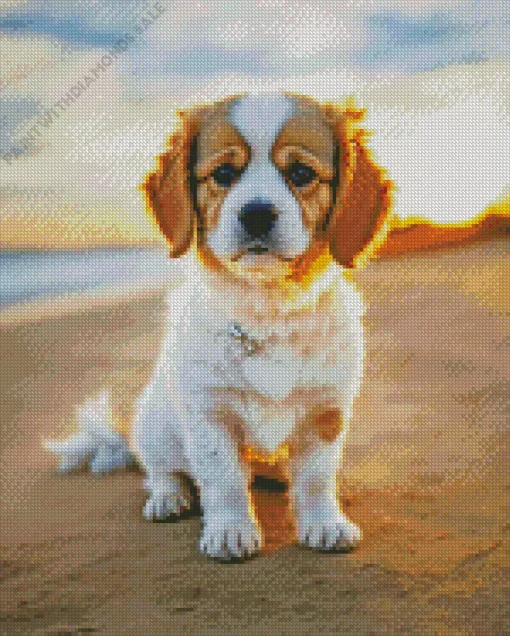 Cavalier King Charles Spaniel In The Beach Diamond Painting