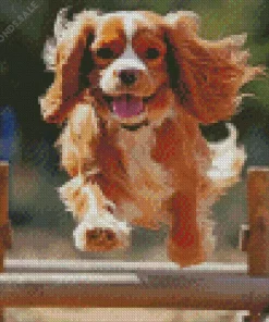 Cavalier King Charles Spaniel Running Diamond Painting