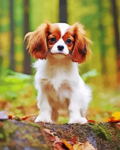 Cavalier King Charles Dog Diamond Painting