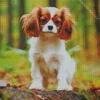 Cavalier King Charles Dog Diamond Painting