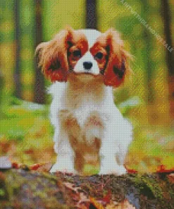 Cavalier King Charles Dog Diamond Painting