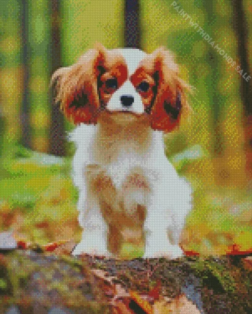 Cavalier King Charles Dog Diamond Painting