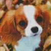 Cavalier King Charles Puppy Diamond Painting