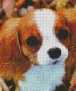 Cavalier King Charles Puppy Diamond Painting