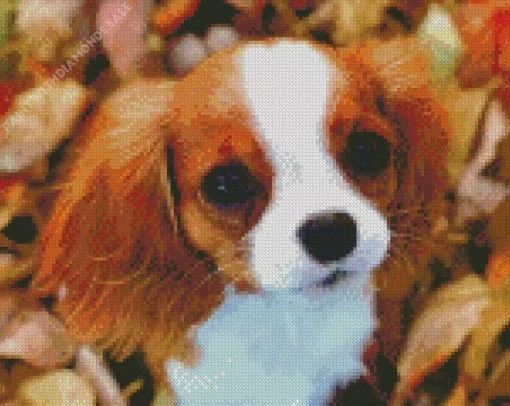 Cavalier King Charles Puppy Diamond Painting