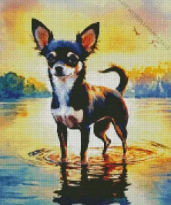 Chihuahua In A Lake Diamond Painting