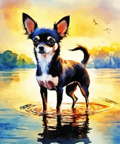 Chihuahua In A Lake Diamond Painting