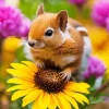 Chipmunk With Flowers Diamond Painting