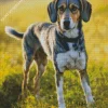 Coonhound Diamond Painting