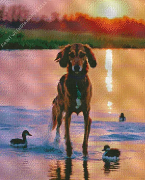 Coonhound By A Lake Diamond Painting