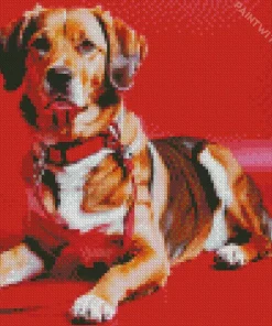 Coonhound Dog Diamond Painting