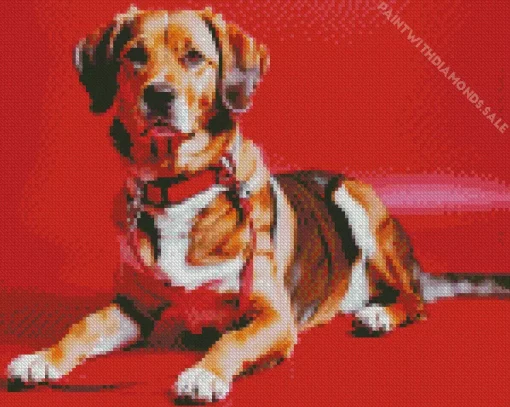 Coonhound Dog Diamond Painting