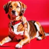 Coonhound Dog Diamond Painting