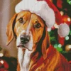 Coonhound With Santa Hat Diamond Painting