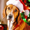 Coonhound With Santa Hat Diamond Painting