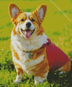 Corgi Dog Diamond Painting