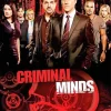 Criminal Minds Poster Diamond Painting