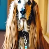 English Cocker Spaniel In Long Hair Diamond Painting