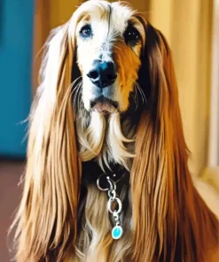 English Cocker Spaniel In Long Hair Diamond Painting