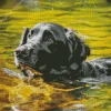 English Cocker Spaniel Swimming Diamond Painting