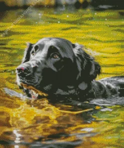 English Cocker Spaniel Swimming Diamond Painting