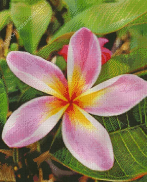 Frangipani Diamond Painting