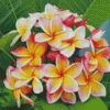 Frangipani Bouquet Diamond Painting