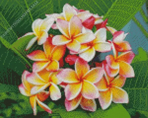 Frangipani Bouquet Diamond Painting