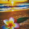 Frangipani Flower In The Beach Diamond Painting