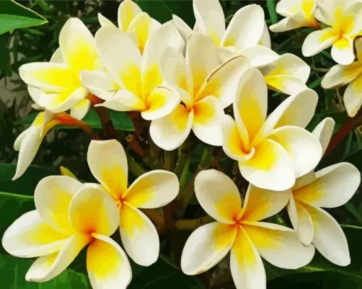 Frangipani Plants Diamond Painting