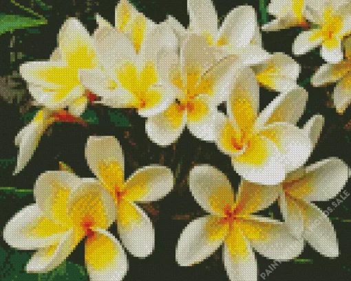 Frangipani Plants Diamond Painting