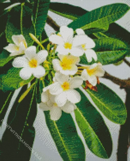 Frangipani Tree Diamond Painting