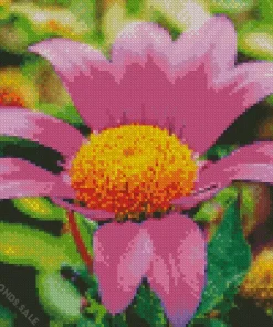 Gazania Diamond Painting