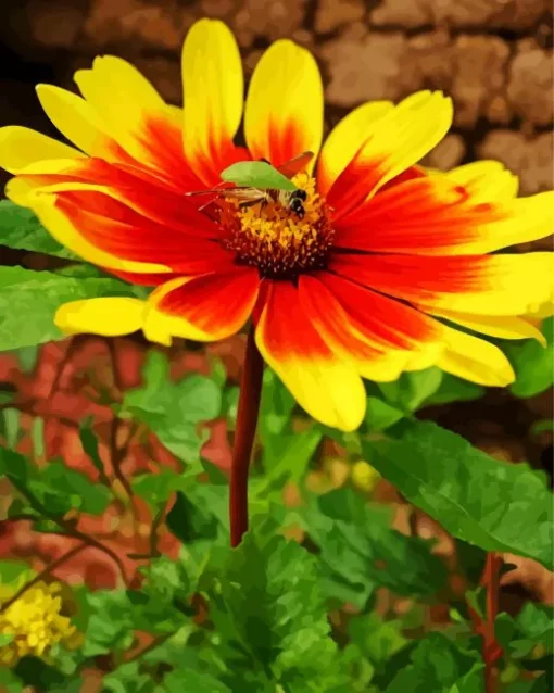 Gazania Flower With Bee Diamond Painting