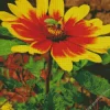 Gazania Flower With Bee Diamond Painting