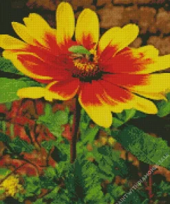 Gazania Flower With Bee Diamond Painting