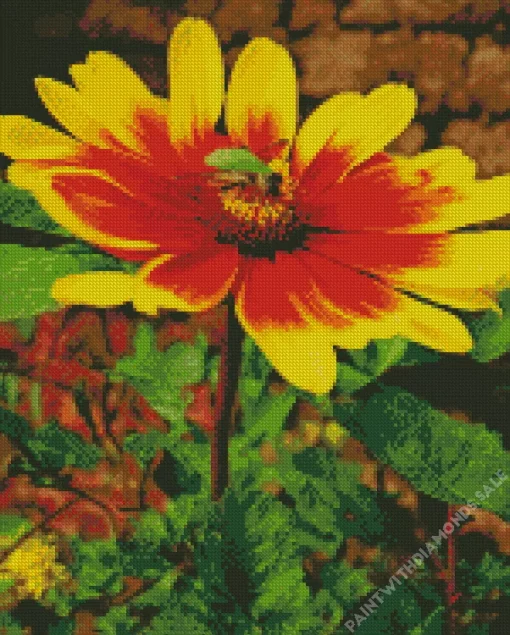 Gazania Flower With Bee Diamond Painting