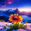 Gazania In Snow Diamond Painting