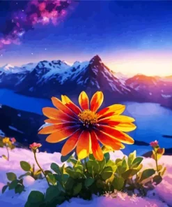 Gazania In Snow Diamond Painting