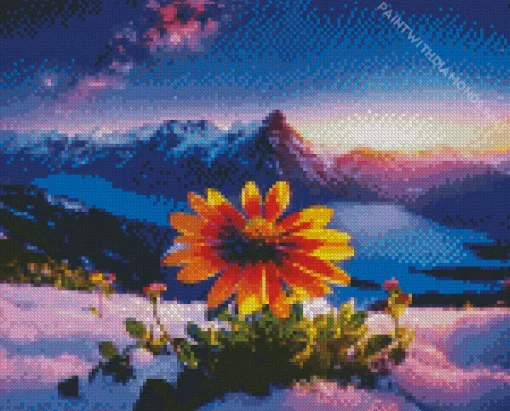 Gazania In Snow Diamond Painting