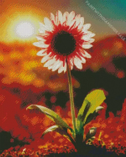 Gazania With Sunrise Diamond Painting