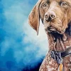 German Shorthaired Diamond Painting