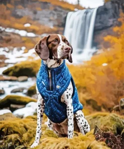 German Shorthaired Pointer Diamond Painting