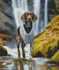 German Shorthaired Pointer In Nature Diamond Painting