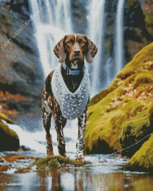 German Shorthaired Pointer In Nature Diamond Painting